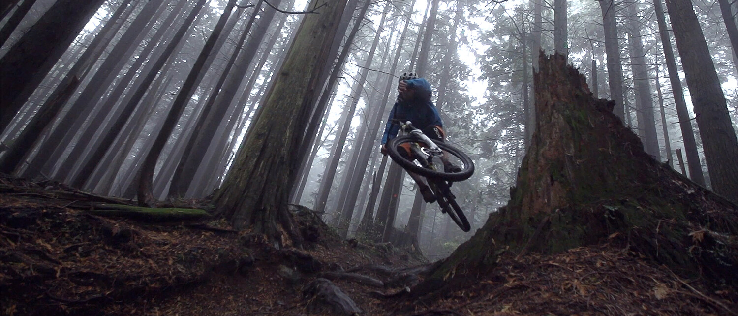 Mountain biker jumping over a tree stump in a foggy forest, surrounded by tall trees.