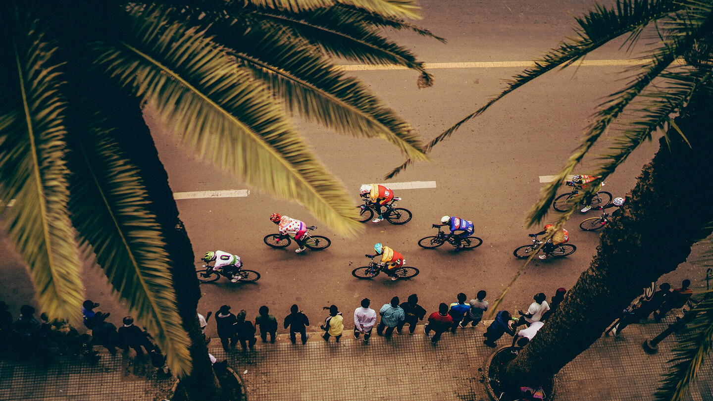 Vue aérienne d'un groupe de cyclistes en course sur une route bordée de palmiers, avec des spectateurs regardant depuis le trottoir.